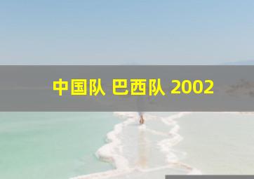 中国队 巴西队 2002